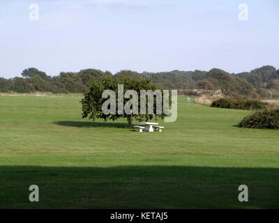 Banc ombragé par des arbres dans la zone sur domaine privé du passeurs lane, bosham, Hampshire, Royaume-Uni Banque D'Images