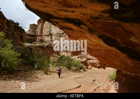 Randonneur dans Grand canyon de lavage, Capital Reef National Park, Utah, USA Banque D'Images