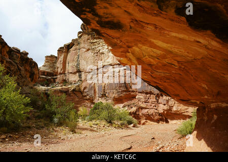 Randonnée dans le Grand canyon de lavage, Capital Reef National Park, Utah, USA Banque D'Images