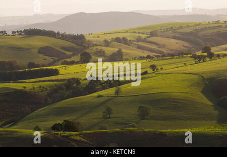 Long Mynd et l'Lawley, vus de l'Stiperstones, Shropshire. Banque D'Images