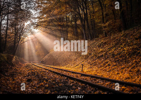 Budapest, Hongrie - Le soleil Levant tombe sur la voie ferrée qui traverse la forêt d'automne à Huvosvolgy Banque D'Images