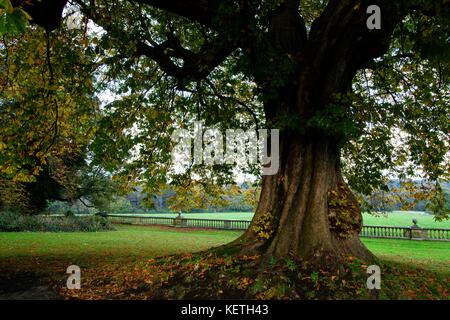 Stock photo - wortley, Yorkshire du Sud. Situé à Wortley est wortley hall, un bâtiment classé grade II. © hugh peterswald/Alamy Banque D'Images