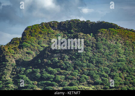 Détail de cratère de volcan dans la région de Beja, terceira Banque D'Images