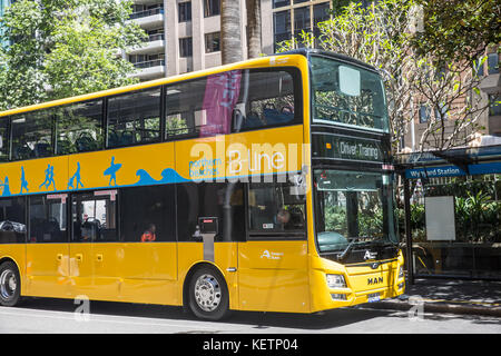 De nouveaux bus à impériale jaune Sydney pour le service de bus ligne B à vélo le long des plages du nord de Sydney pittwater road,l'Australie Banque D'Images