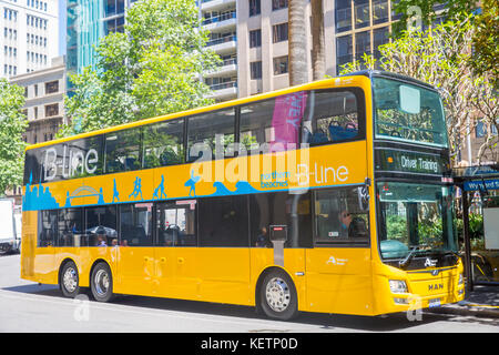 De nouveaux bus à impériale jaune Sydney pour le service de bus ligne B à vélo le long des plages du nord de Sydney pittwater road,l'Australie Banque D'Images