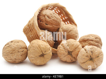 Noyer dans un panier isolated over white background Banque D'Images