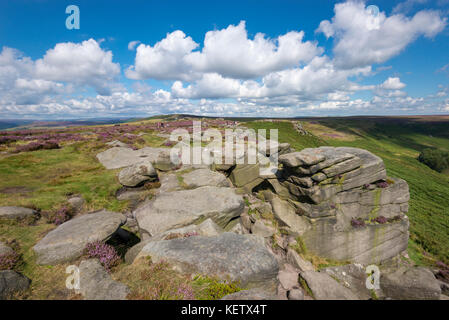 Higger tor près de hathersage, parc national de Peak District, Derbyshire, Angleterre. Un beau jour d'été. Heather fleurs entre les rochers. Banque D'Images