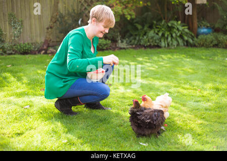 Dame son alimentation animaux poulet bantam Banque D'Images