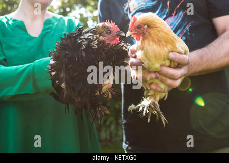 Jeune couple avec leurs animaux poulet bantam Banque D'Images