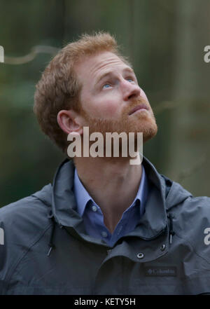 Le Prince Harry, lors de sa visite à MyPlace, dans la réserve naturelle de Brockholes, à Preston, dans le Lancashire, un projet qui vise à donner aux jeunes les moyens d'agir en matière d'activités environnementales afin d'améliorer les zones pour la faune, les communautés et leur propre bien-être. Banque D'Images