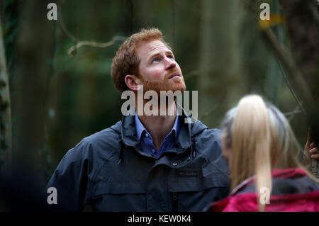 Le Prince Harry, lors de sa visite à MyPlace, dans la réserve naturelle de Brockholes, à Preston, dans le Lancashire, un projet qui vise à donner aux jeunes les moyens d'agir en matière d'activités environnementales afin d'améliorer les zones pour la faune, les communautés et leur propre bien-être. Banque D'Images