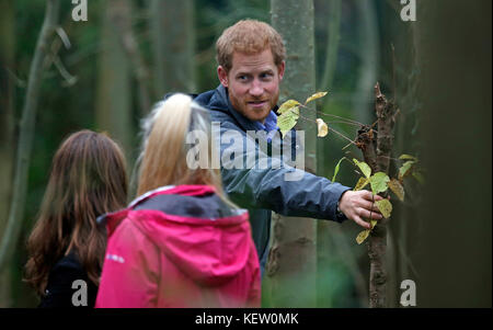 Le Prince Harry, lors de sa visite à MyPlace, dans la réserve naturelle de Brockholes, à Preston, dans le Lancashire, un projet qui vise à donner aux jeunes les moyens d'agir en matière d'activités environnementales afin d'améliorer les zones pour la faune, les communautés et leur propre bien-être. Banque D'Images