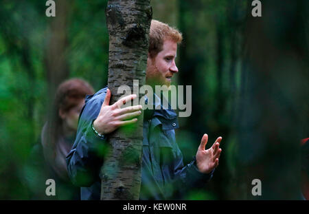 Le Prince Harry, lors de sa visite à MyPlace, dans la réserve naturelle de Brockholes, à Preston, dans le Lancashire, un projet qui vise à donner aux jeunes les moyens d'agir en matière d'activités environnementales afin d'améliorer les zones pour la faune, les communautés et leur propre bien-être. Banque D'Images