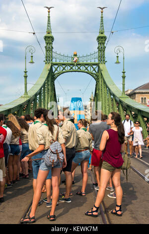 Vue verticale de Szabadság híd ou pont de la liberté, à Budapest. Banque D'Images