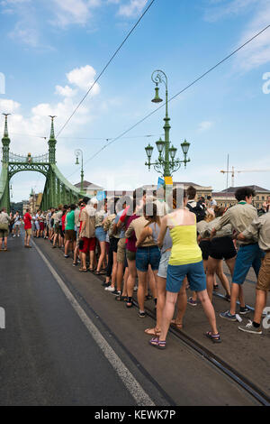 Vue verticale de Szabadság híd ou pont de la liberté, à Budapest. Banque D'Images