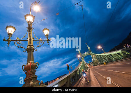 Szabadság híd de vue horizontale ou pont de la liberté fermée à la circulation de nuit à Budapest. Banque D'Images