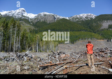 Un environnementaliste arpente un bloc d'exploitation forestière à coupe claire et une barre de déboisement près de Port Alberni, sur l'île de Vancouver, en Colombie-Britannique, au Canada. Banque D'Images