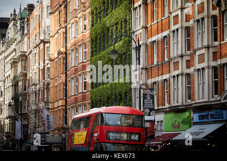 Plantes à feuilles persistantes mur vivant pour la façade de maison synergie sur Southampton Row à Londres La capitale de l'Angleterre Banque D'Images