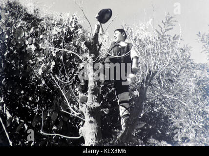 Cette photographie capture une scène du sud de la Dobruja en 1940. L'image reflète les changements régionaux au cours de cette période, y compris les changements géopolitiques dans la région. Banque D'Images