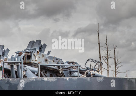 Armes à feu sur l'USS North Carolina donnent sur les arbres morts sous un ciel d'orage Banque D'Images