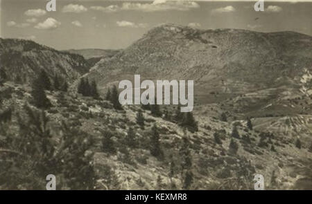 VD 1217 212 192 Banque D'Images