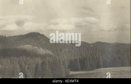 VD 1217 212 222 Banque D'Images