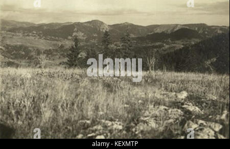 VD 1217 212 225 Banque D'Images