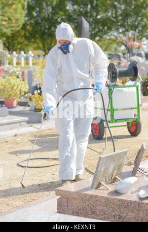 Man spraying mauvaises herbes au cimetière Banque D'Images