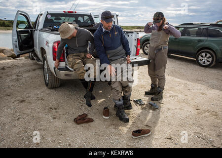 Deux hommes et une femme de mettre des bottes pataugeant au bord de voitures en stationnement, Massachusetts, USA Banque D'Images