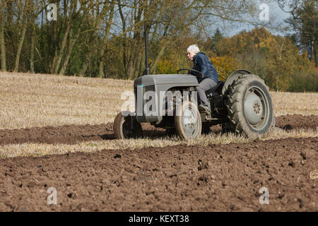 Massey Ferguson TE20 Little Grey Fergie labourer le champ de chaumes UK Banque D'Images