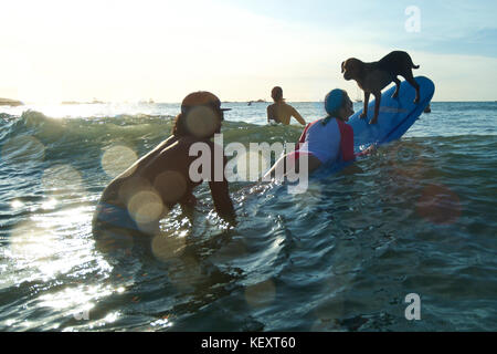 Personnes surfant avec leur chien dans la région de Tamarindo, Costa Rica Banque D'Images