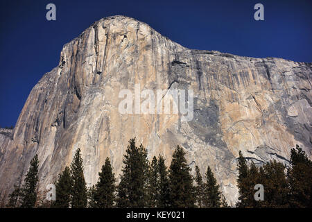 La lumière du matin sur El Capitan, Yosemite National Park. Banque D'Images