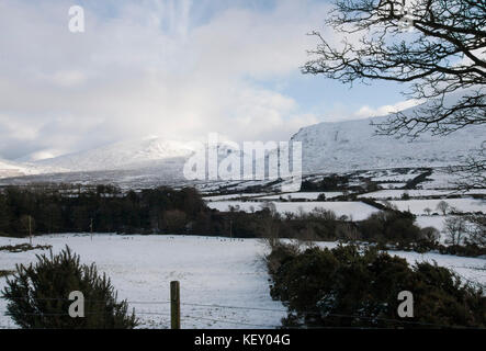 La neige sur les montagnes de Mourne County Down Ieland du Nord. Banque D'Images