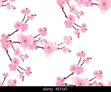 Sakura. branche avec des fleurs luxuriantes et de cerise douce bourgeons. fluide, sans qu'une maille et gradient. illustration Illustration de Vecteur