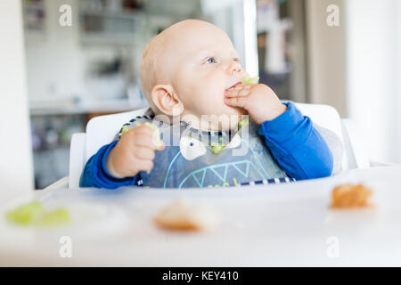 Baby Boy eating bread et concombre avec méthode, BLW led bébé sevrage. Heureux végétariens kid au dîner. Tout-petit manger lui-même, auto-alimentent. Banque D'Images