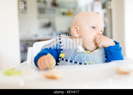 Baby Boy eating bread et concombre avec méthode, BLW led bébé sevrage. Heureux végétariens kid au dîner. Tout-petit manger lui-même, auto-alimentent. Banque D'Images