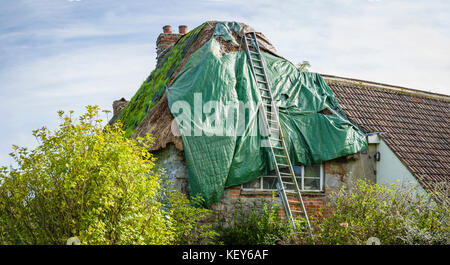 Les dégâts causés par les tempêtes, toit de chaume, Avebury, Wiltshire Banque D'Images