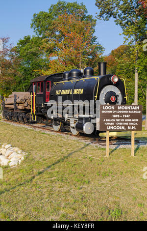 La branche est & Lincoln railroad porter 50 tonnes moteur réservoir selle locomotive sur l'affichage à loon mountain, New Hampshire. Banque D'Images