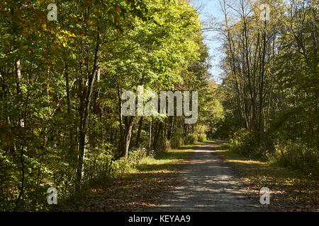 Le grand passage de l'Allegheny, un rail trail, à myersdale, New York, USA Banque D'Images