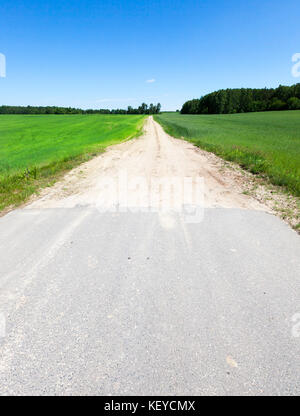 route asphaltée Banque D'Images