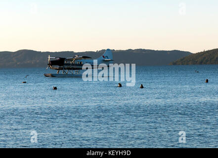 A 1954, DHC-3 Otter Floatplane, exploité par Volcanic Air, amarré sur le lac Rotorua., Rotorua Lakefront, Nouvelle-Zélande. Banque D'Images