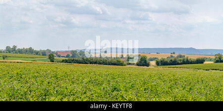 Paysage panoramique rural dans hohenlohe, un salon dans le sud de l'Allemagne Banque D'Images