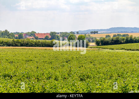 Paysage panoramique rural dans hohenlohe, un salon dans le sud de l'Allemagne Banque D'Images