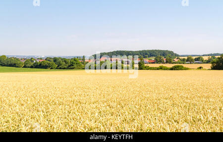 Paysage panoramique rurale ensoleillée dans hohenlohe, un salon dans le sud de l'Allemagne Banque D'Images