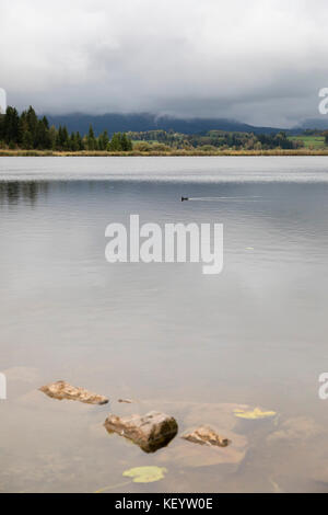 Avis de "Hopfen am See' Banque D'Images