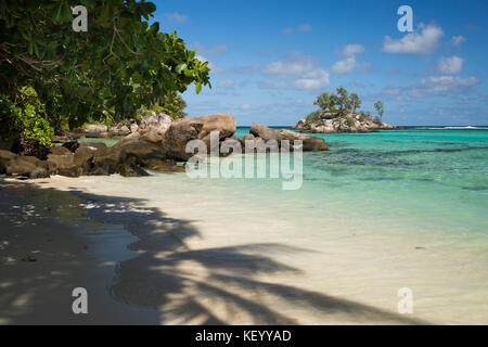 Les Seychelles, Mahe, Anse Royale, Ile Souris, beach, palm tree shadow on sand Banque D'Images