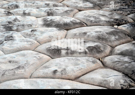 L'érosion naturelle modèle hexagonale en grès rock formation, royal National park, NSW, Australie Banque D'Images