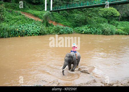 Visite à l'maetaeng elephant park - mae taeng. mae taeng est une ville 40 km au nord de Chiang Mai. Banque D'Images