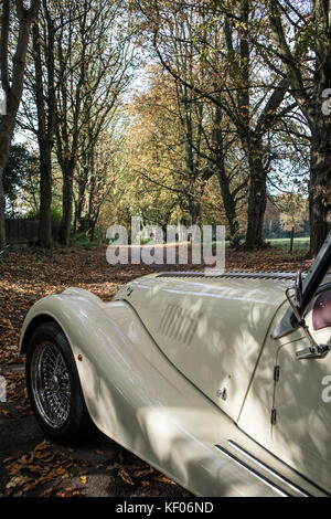 Une crème Morgan Sports Car photographié à l'automne, dans la région de Cragg Bois, Rawdon, Yorkshire Banque D'Images