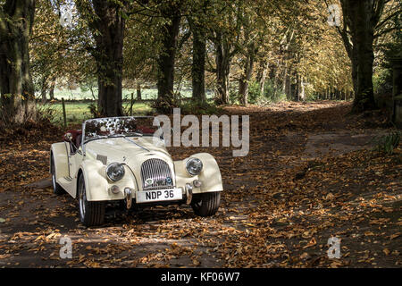 Une crème Morgan Sports Car photographié à l'automne, dans la région de Cragg Bois, Rawdon, Yorkshire Banque D'Images